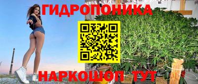 твердый Нальчик