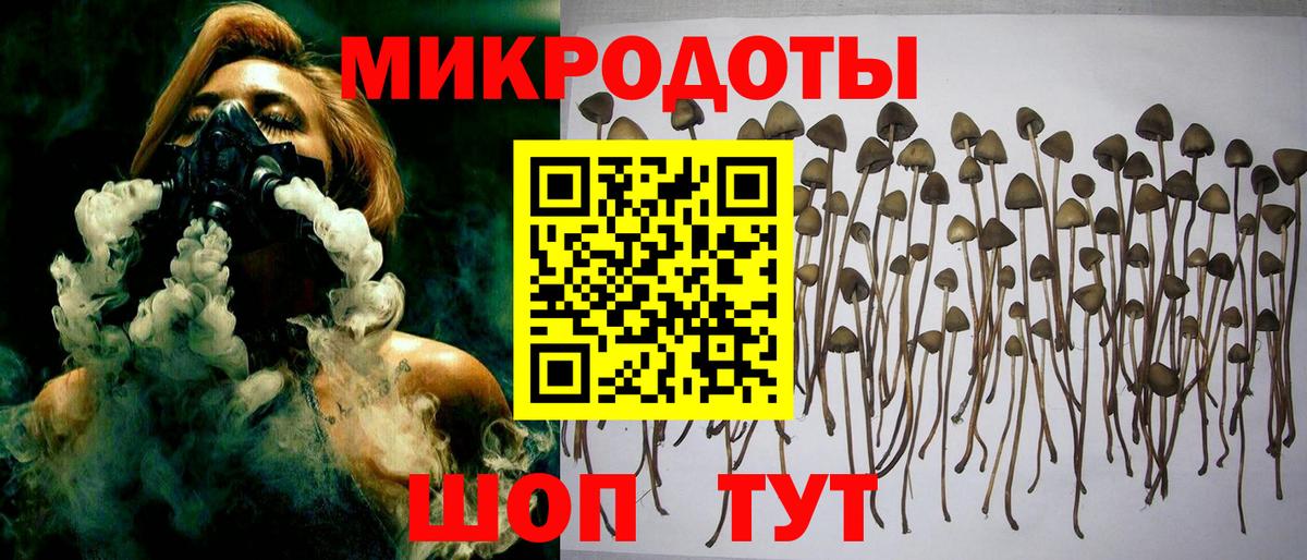 Псилоцибиновые грибы Psilocybe  Вход с VPN  Галлюциногенные грибы Magic Shrooms  купить  цена  Черногорск 